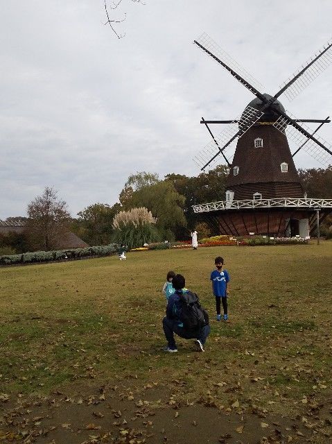 f:id:rno670:20201109005511j:image