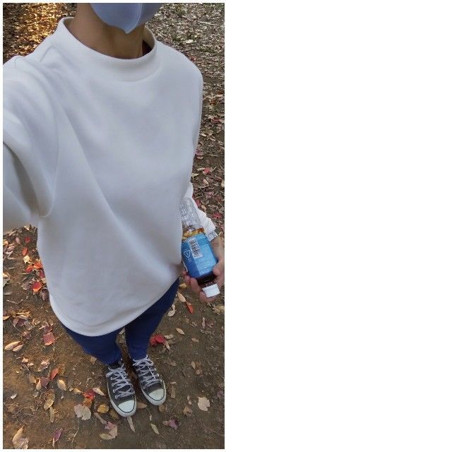 f:id:rno670:20201121170434j:image f:id:rno670:20201121170434j:image