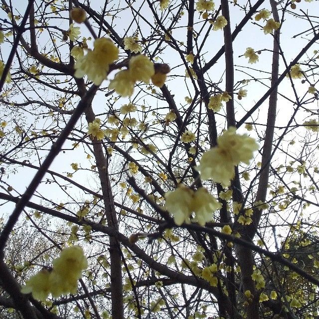f:id:rno670:20210208011948j:image