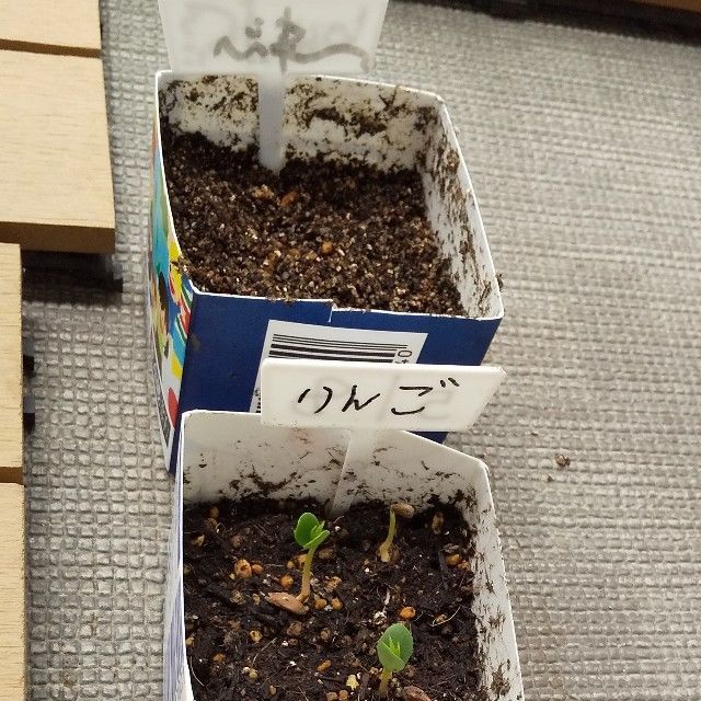 f:id:rno670:20210623110352j:image