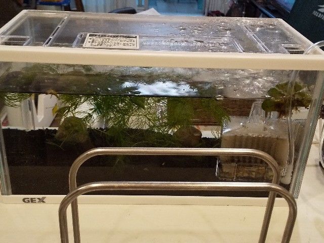 f:id:rno670:20210702183407j:image f:id:rno670:20210702183407j:image