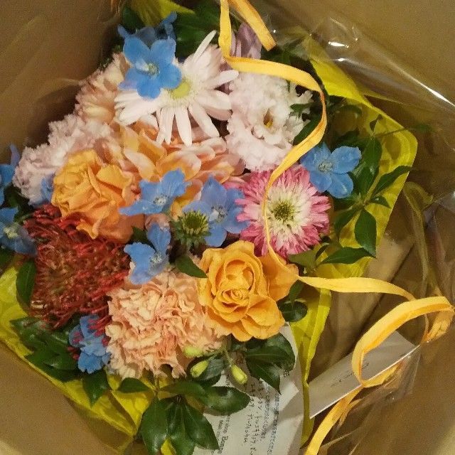 f:id:rno670:20210807095946j:image