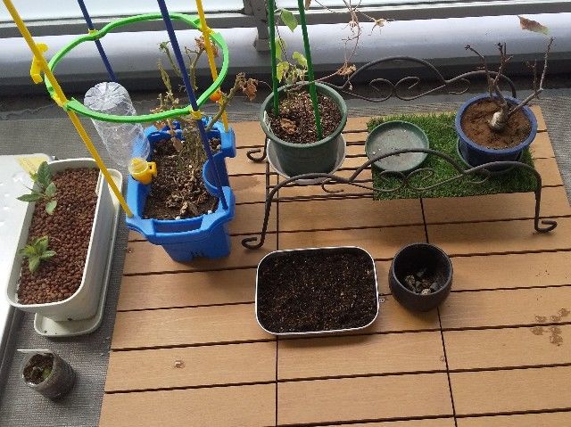 f:id:rno670:20210824094601j:image