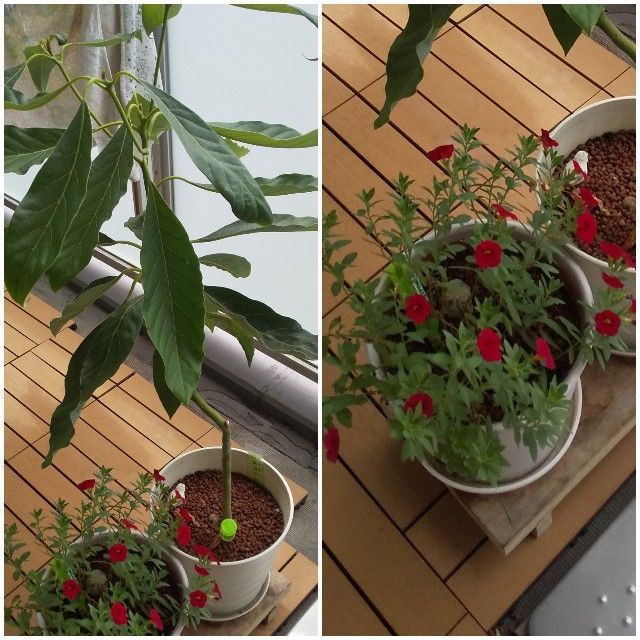 f:id:rno670:20210824094611j:image