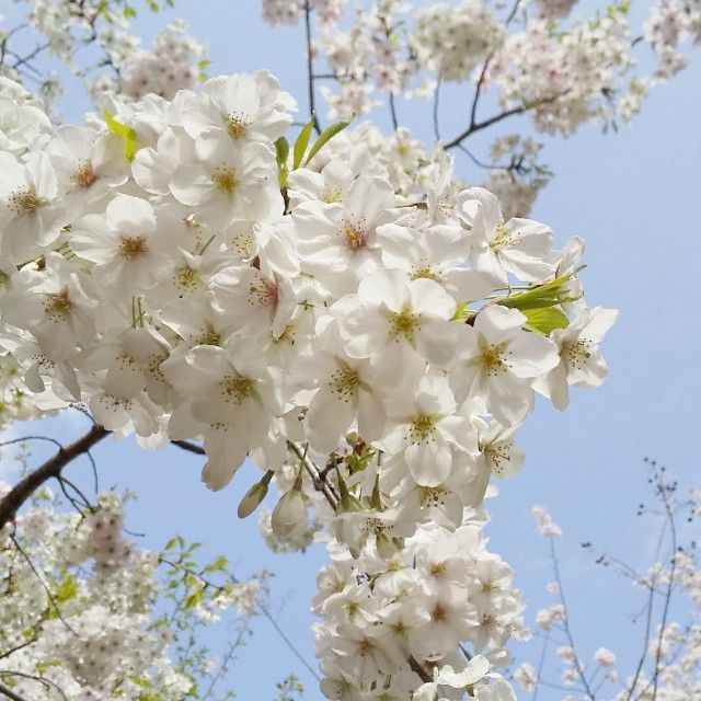 f:id:rno670:20220401224017j:image