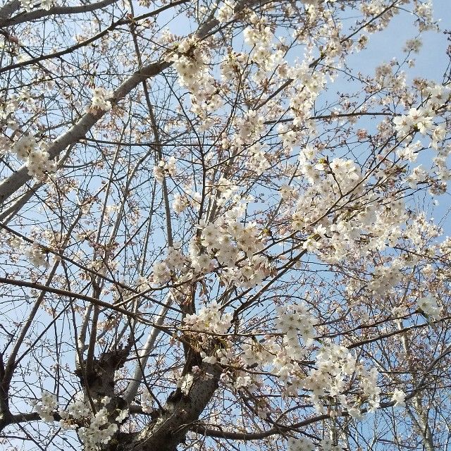 f:id:rno670:20220403170153j:image