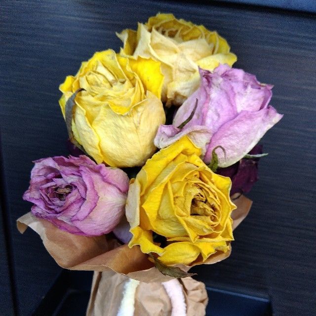 f:id:rno670:20221107192559j:image