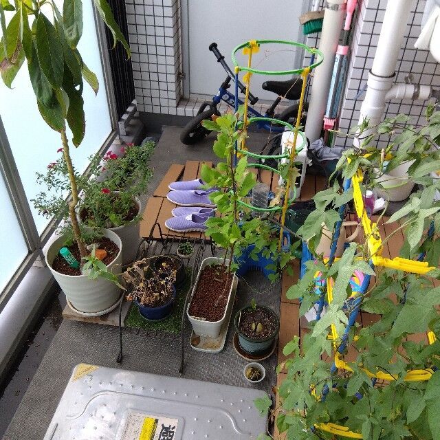 f:id:rno670:20230818073837j:image