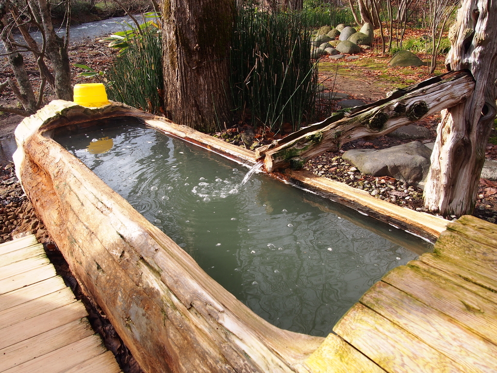 f:id:rntriple6:20171116131847j:plain f:id:rntriple6:20171116131847j:plain