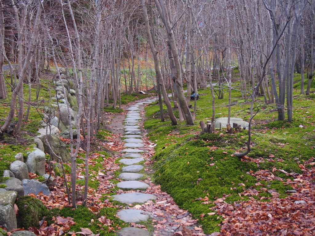 f:id:rntriple6:20171116140348j:plain f:id:rntriple6:20171116140348j:plain