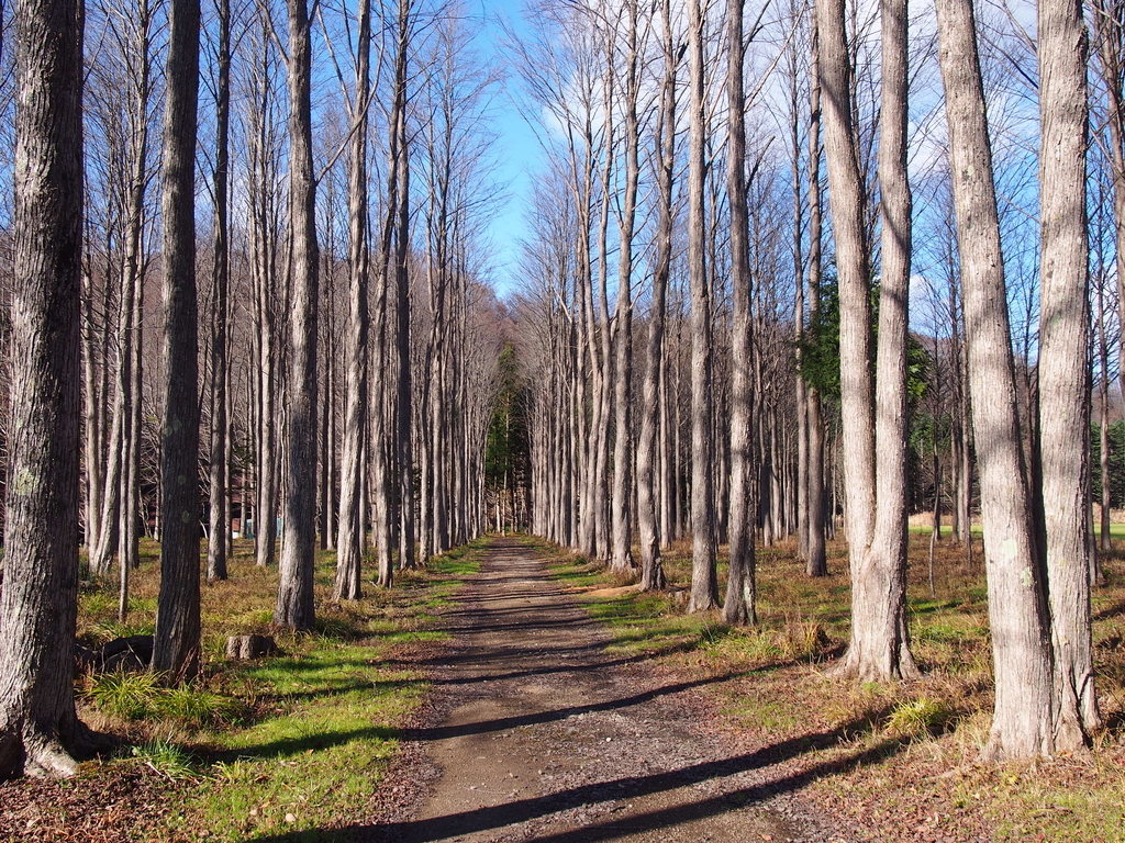 f:id:rntriple6:20171117125254j:plain f:id:rntriple6:20171117125254j:plain