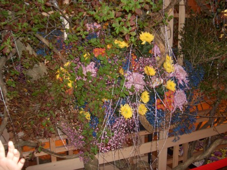 f:id:ro-dokurosaito:20081027145140j:image