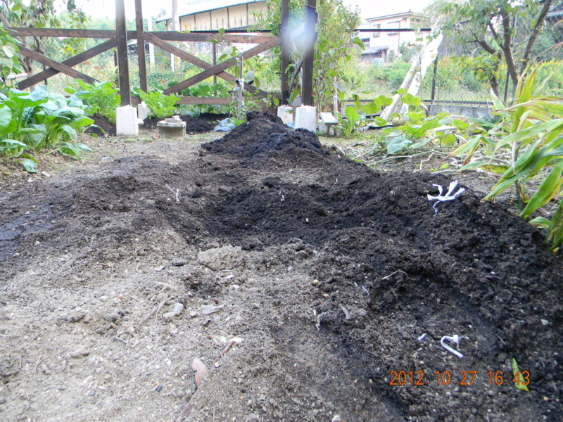 f:id:ro-gaden:20121027164340j:image:w360 f:id:ro-gaden:20121027164340j:image:w360