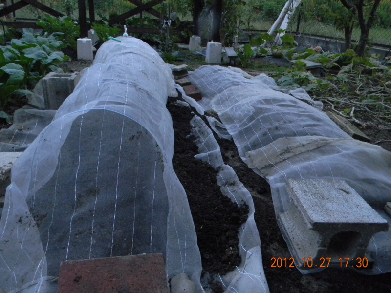 f:id:ro-gaden:20121027173002j:image:w360 f:id:ro-gaden:20121027173002j:image:w360