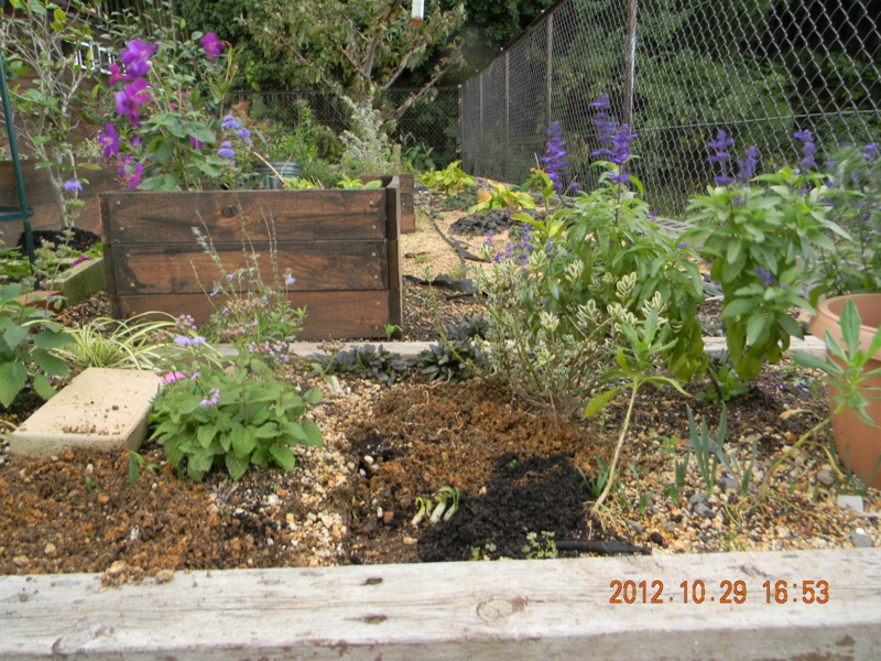 f:id:ro-gaden:20121029165304j:image:w360 f:id:ro-gaden:20121029165304j:image:w360