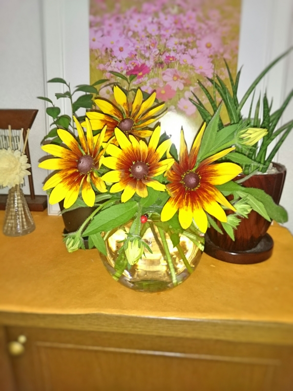 f:id:ro-gaden:20150615193901j:image:w360