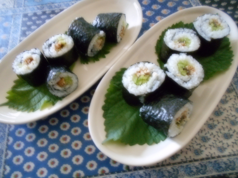 f:id:ro-gaden:20150629235431j:image:w360