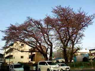 f:id:ro1616:20130405164540j:image f:id:ro1616:20130405164540j:image
