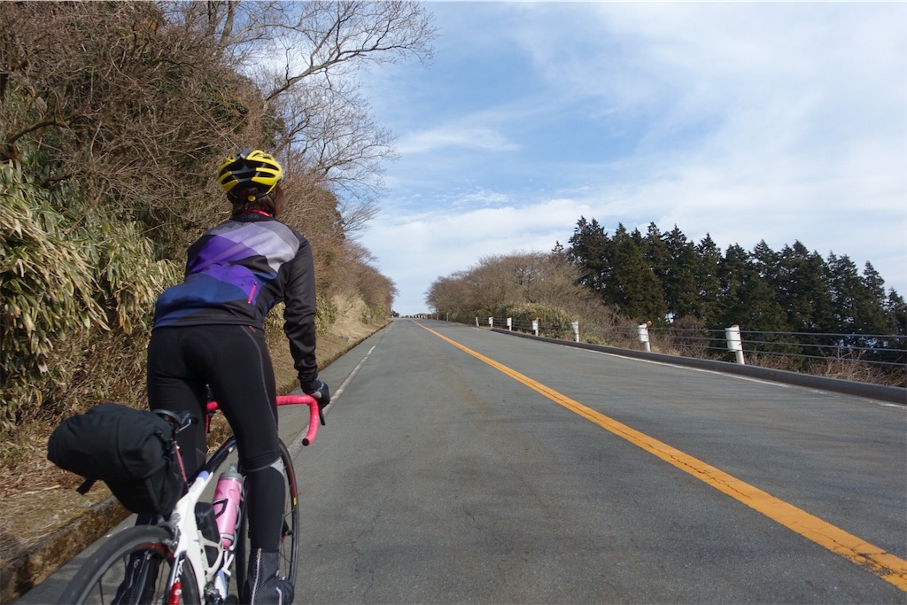f:id:road_mushi:20170130190426j:image f:id:road_mushi:20170130190426j:image