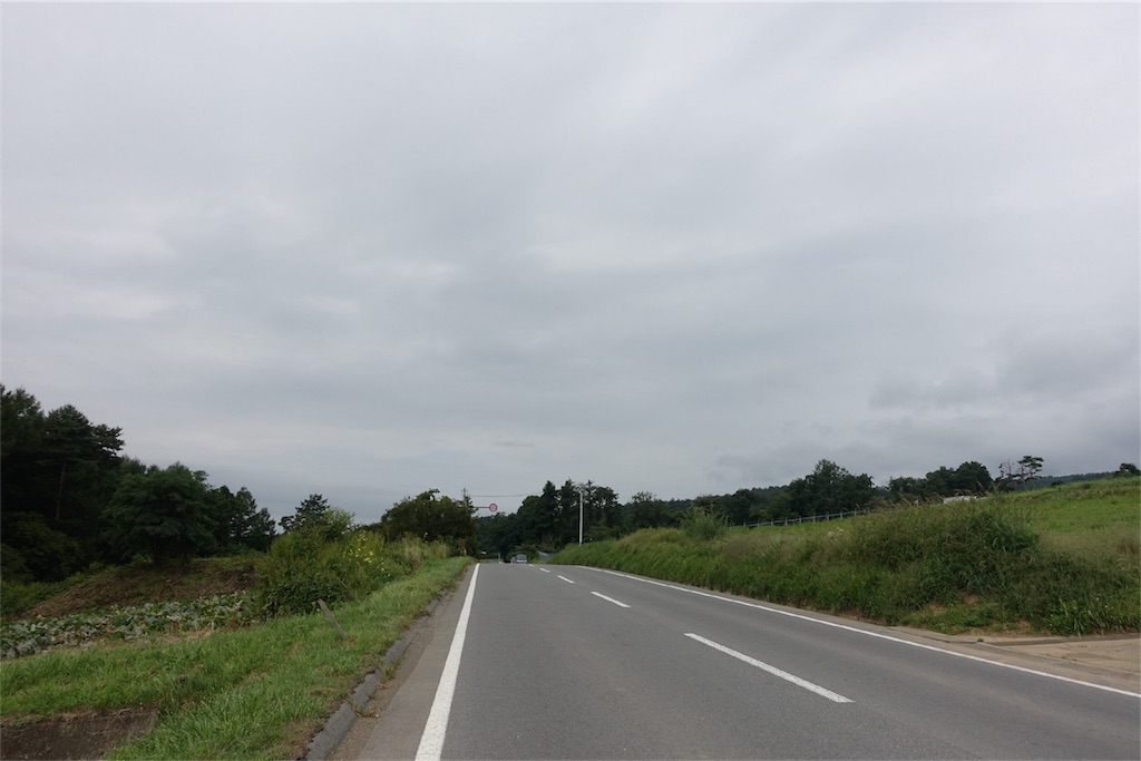 f:id:road_mushi:20170904180405j:image f:id:road_mushi:20170904180405j:image