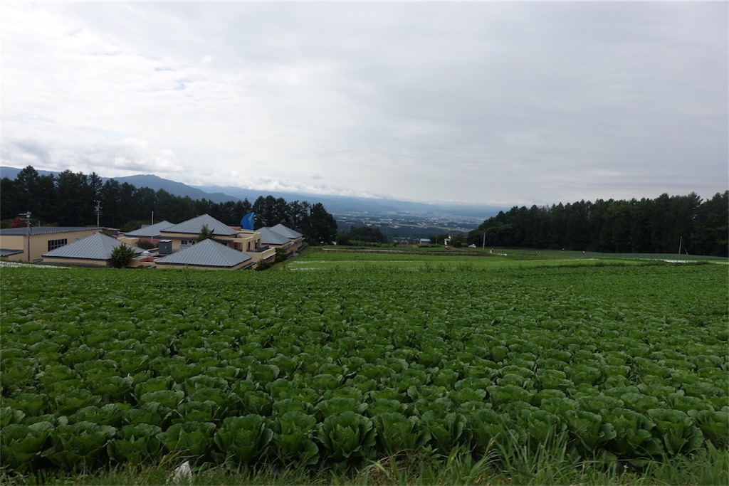 f:id:road_mushi:20170904180458j:image f:id:road_mushi:20170904180458j:image