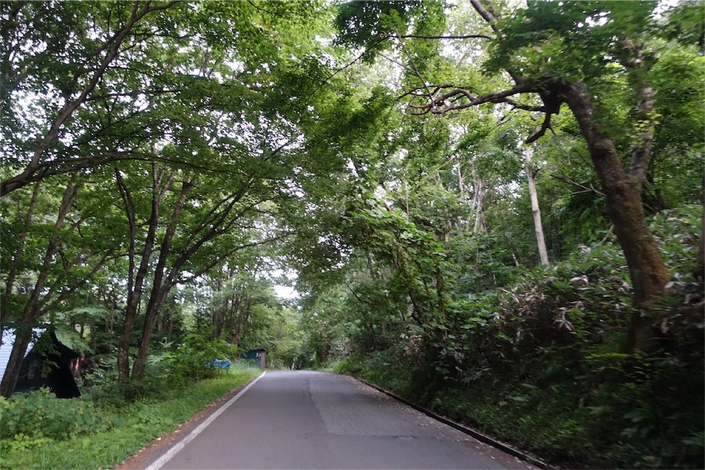 f:id:road_mushi:20170904214809j:image f:id:road_mushi:20170904214809j:image
