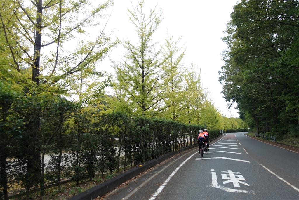 f:id:road_mushi:20181016180342j:image f:id:road_mushi:20181016180342j:image