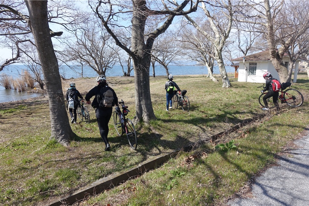 f:id:road_mushi:20190314175320j:image
