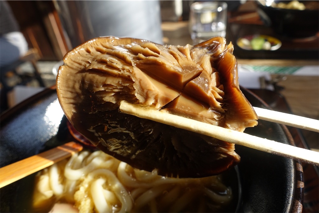 f:id:road_mushi:20190314180847j:image