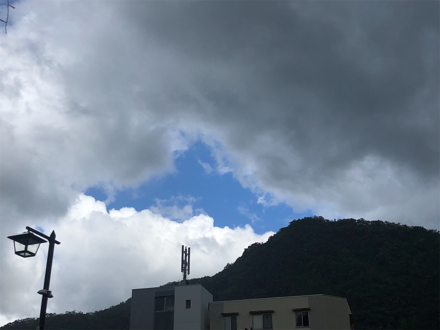 f:id:road_mushi:20190729190031j:image