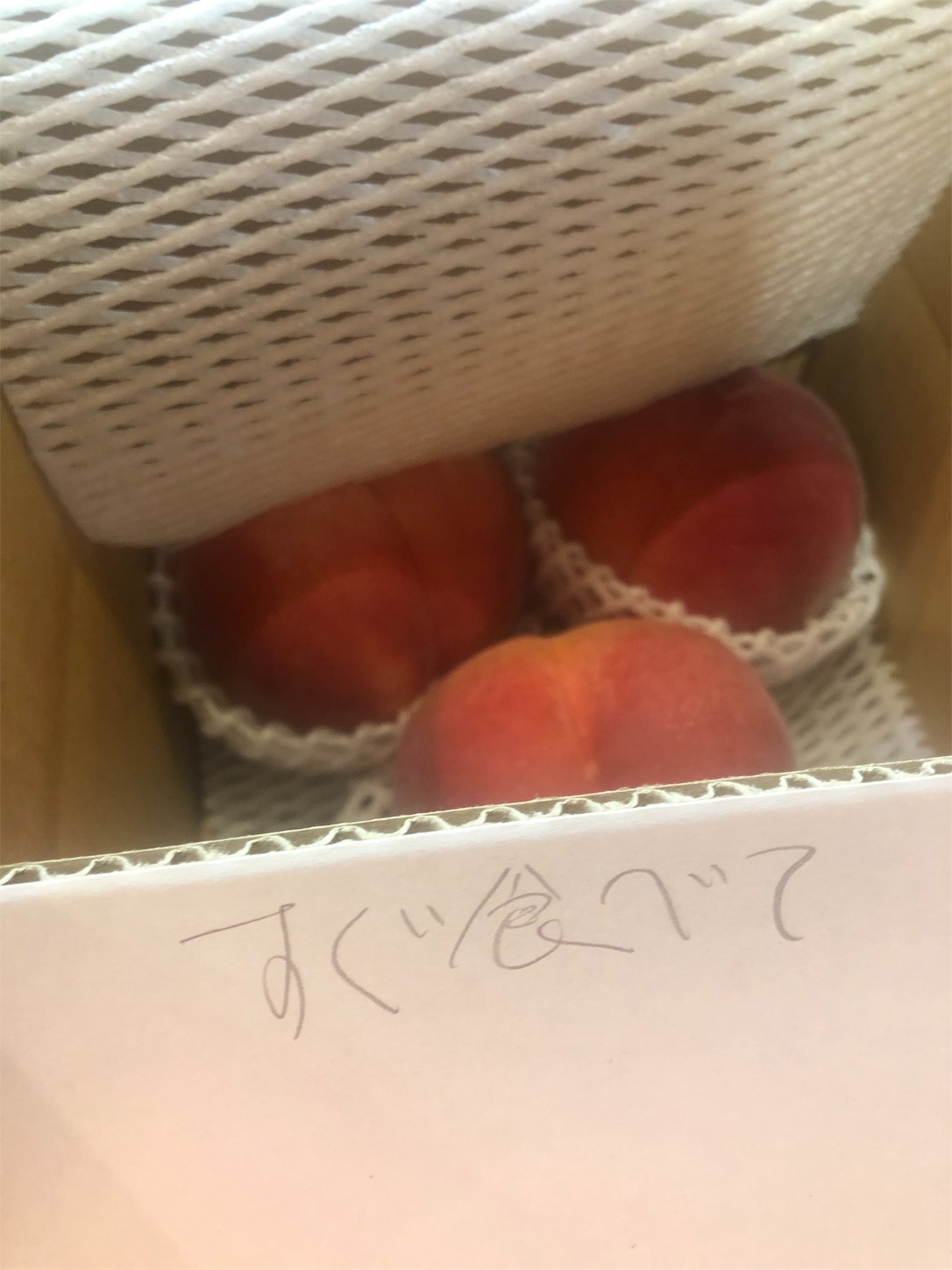 f:id:road_mushi:20190729190043j:image