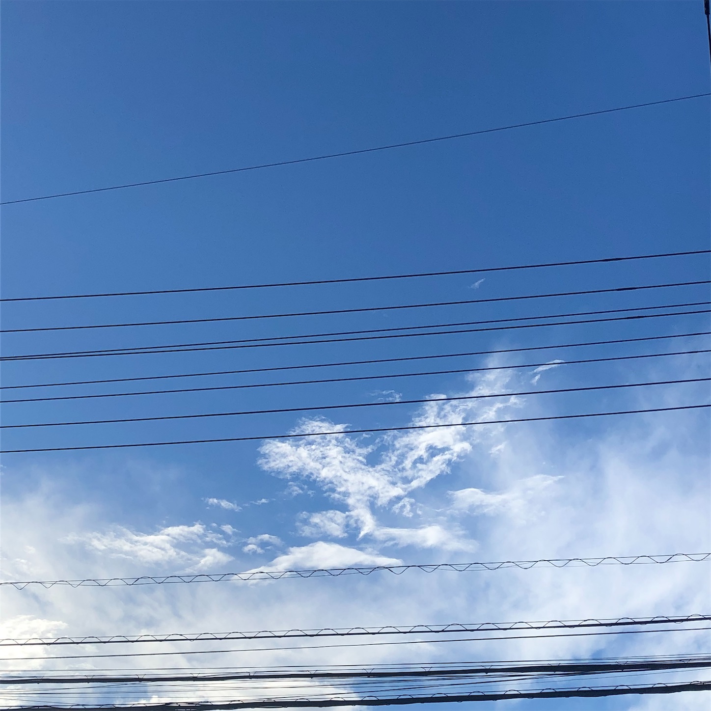 f:id:road_mushi:20190729190133j:image