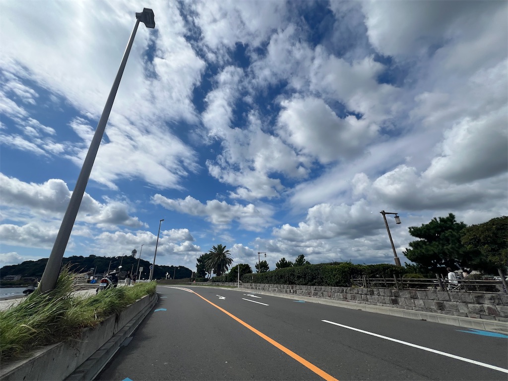 f:id:road_mushi:20241003085944j:image
