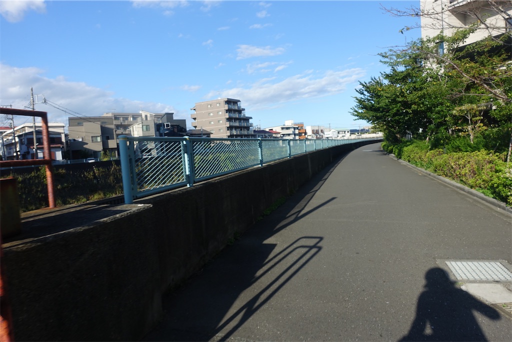 f:id:road_mushi:20241003091021j:image