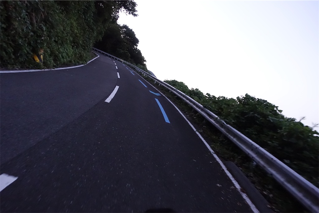 f:id:road_mushi:20241104092015j:image