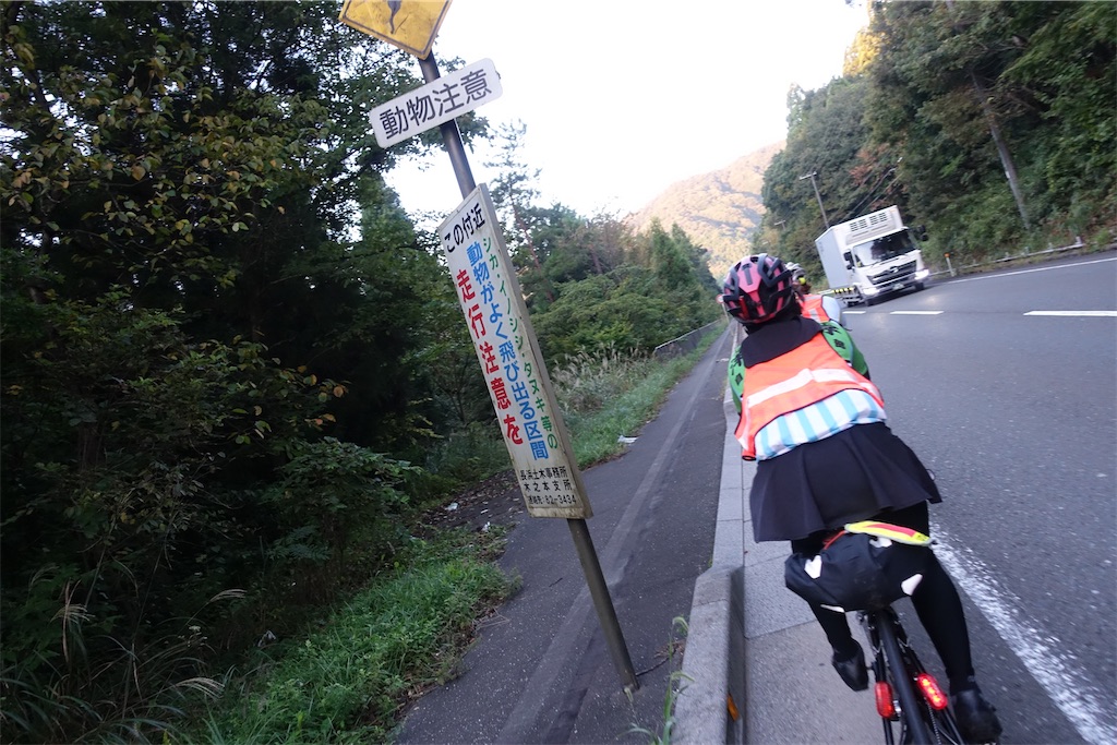 f:id:road_mushi:20241104092111j:image