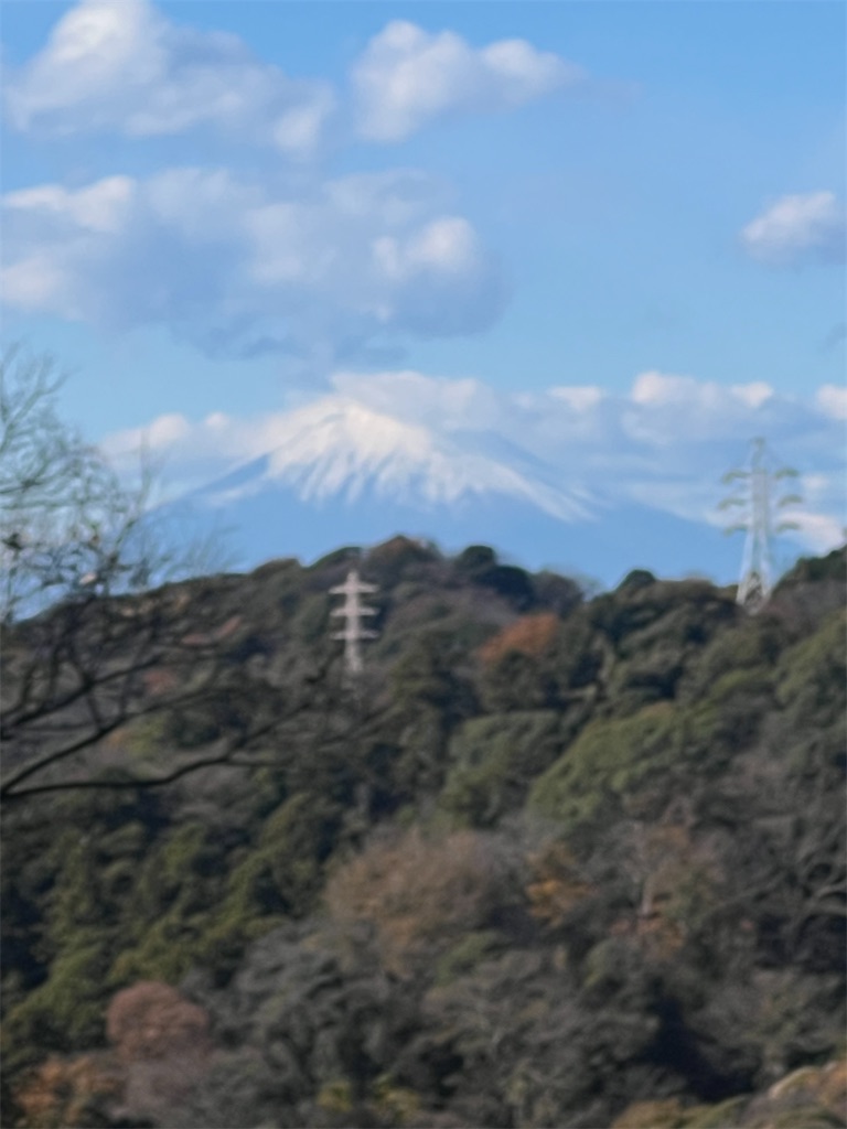 f:id:road_mushi:20241226170034j:image