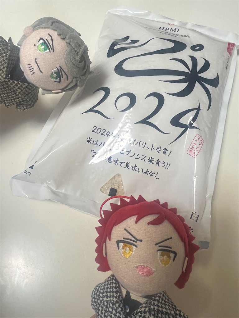 f:id:road_mushi:20241226170052j:image
