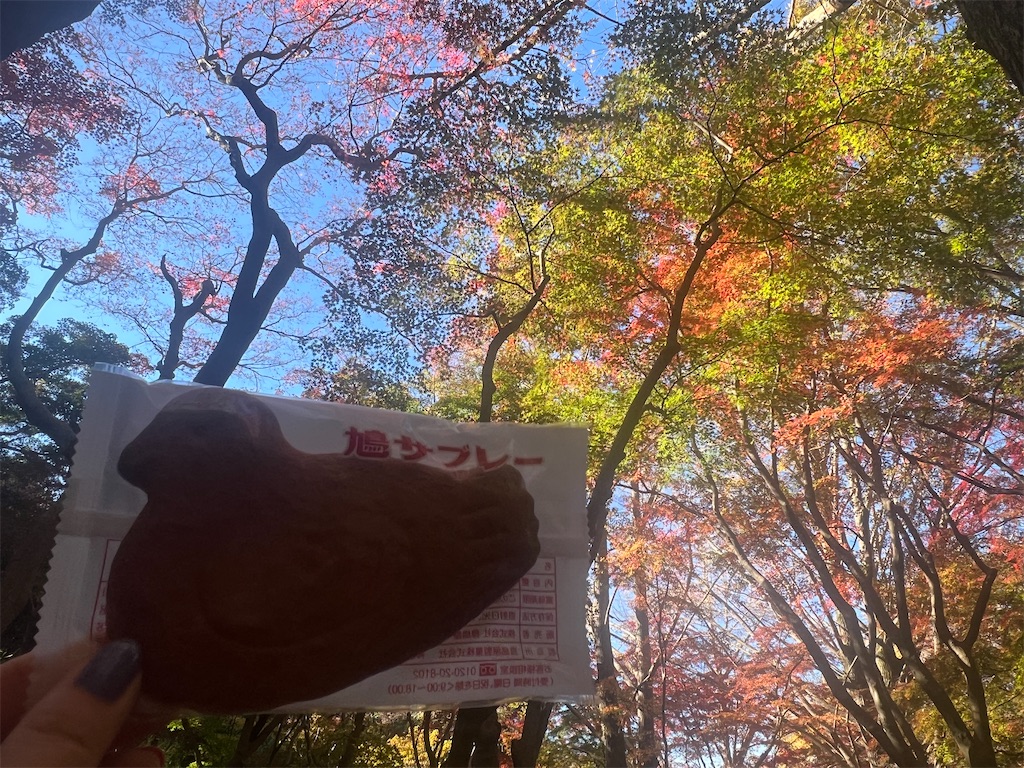 f:id:road_mushi:20241226170101j:image