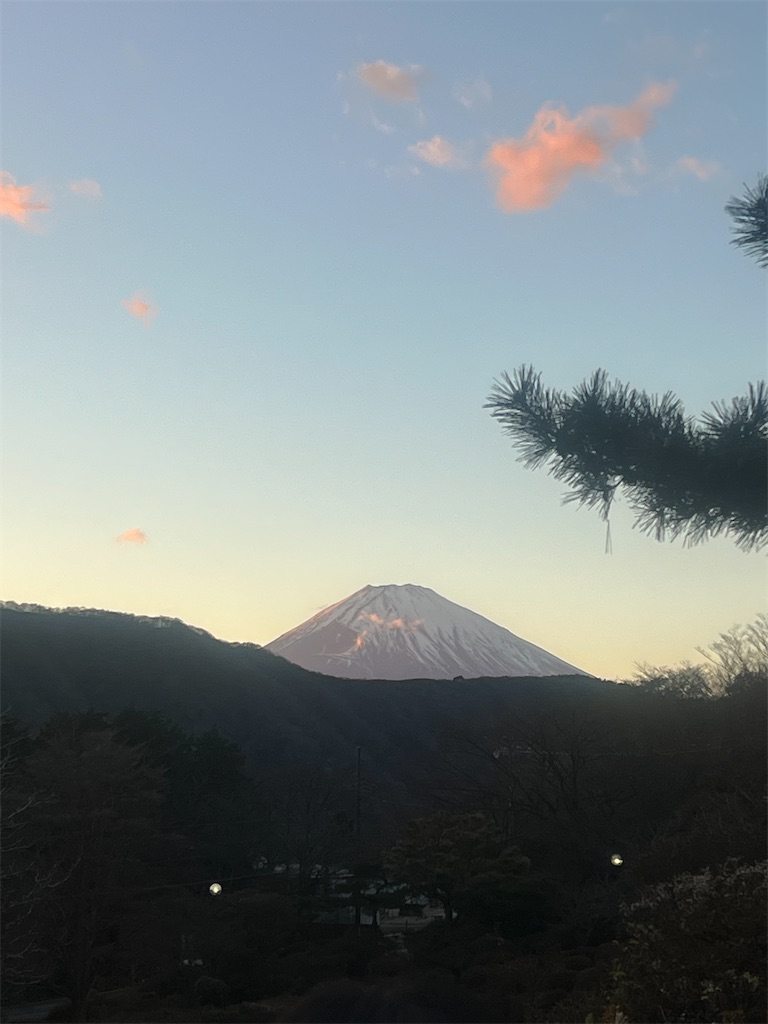 f:id:road_mushi:20241226170144j:image