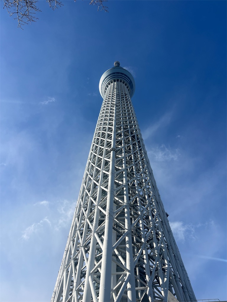 f:id:road_mushi:20241230143718j:image