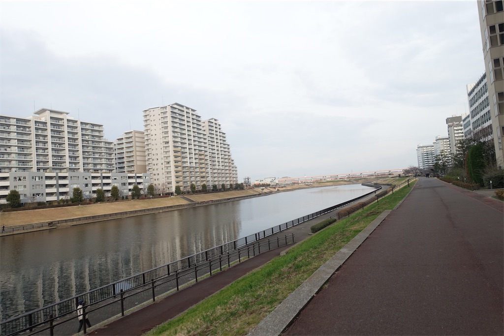 f:id:road_mushi:20250123191723j:image