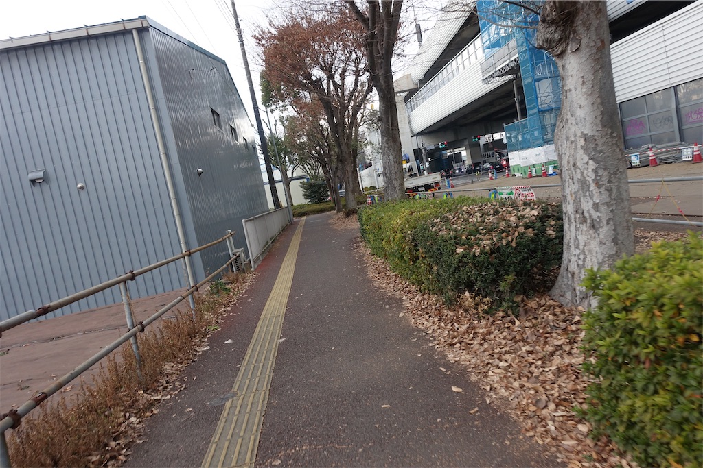 f:id:road_mushi:20250123191758j:image