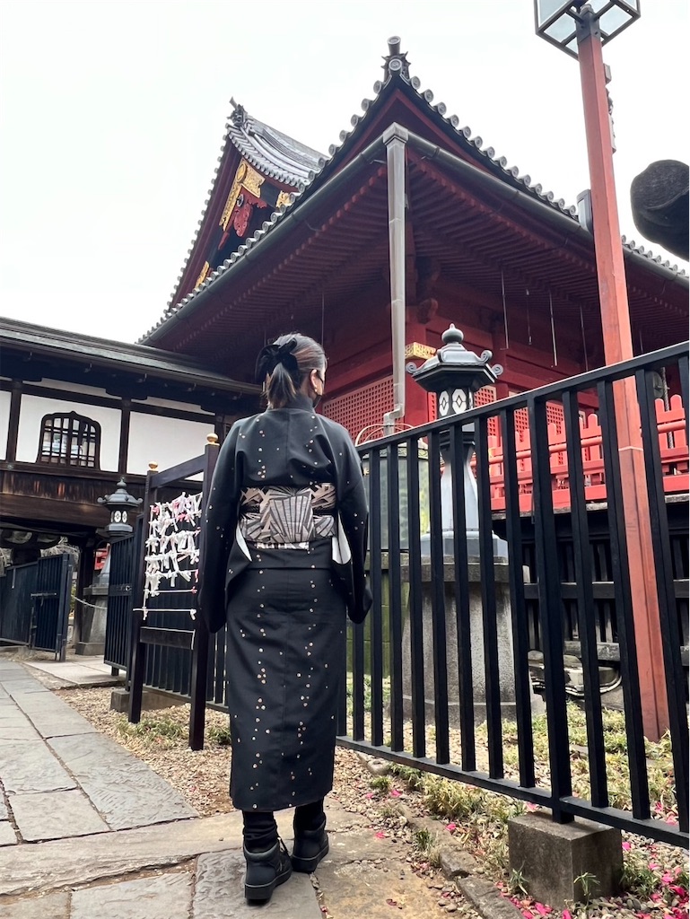 f:id:road_mushi:20250123192216j:image