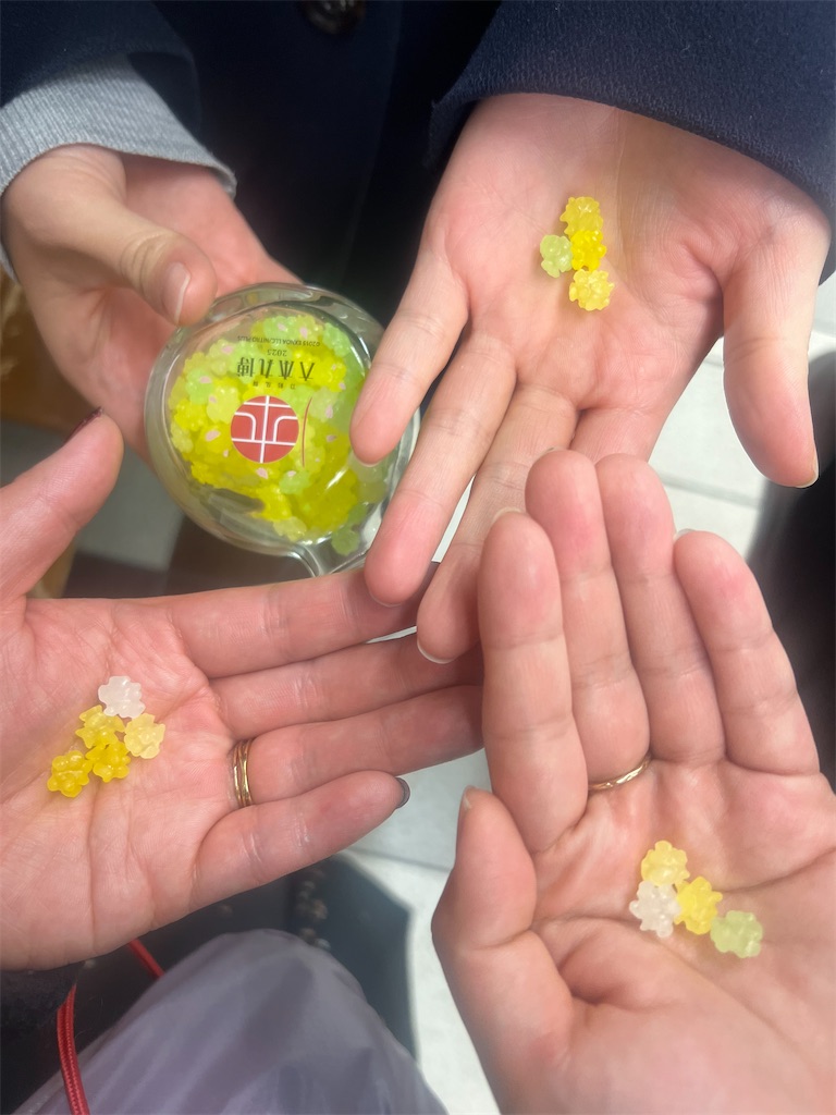 f:id:road_mushi:20250130103126j:image
