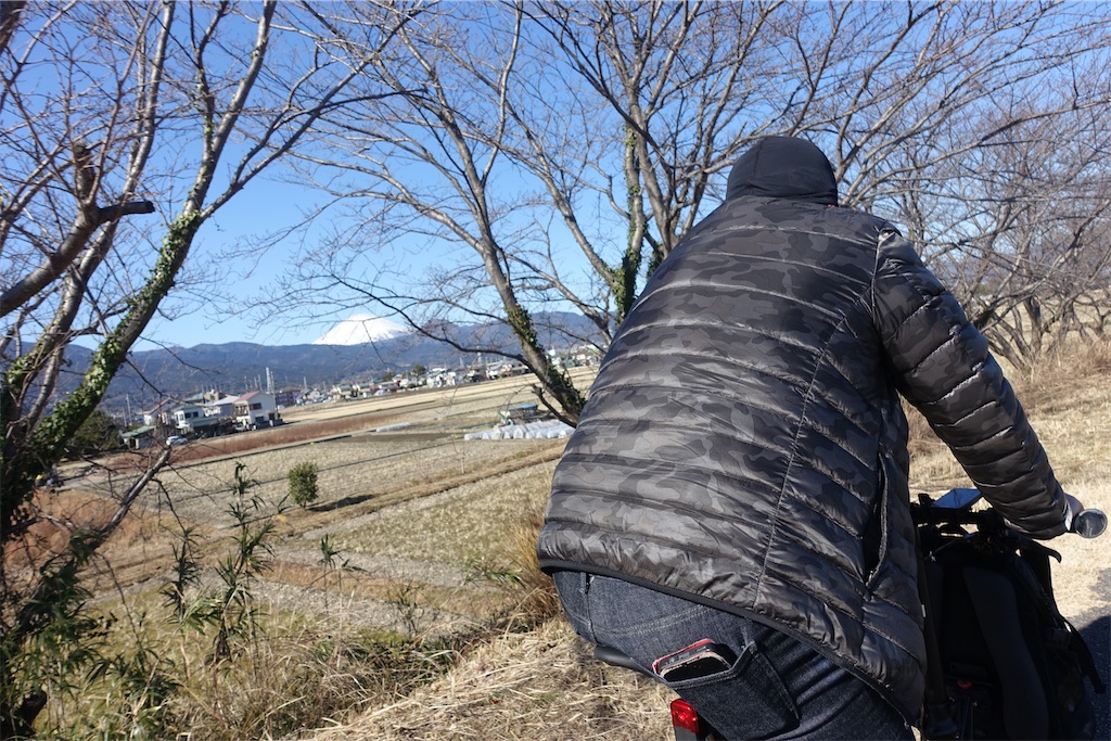 f:id:road_mushi:20250130112901j:image