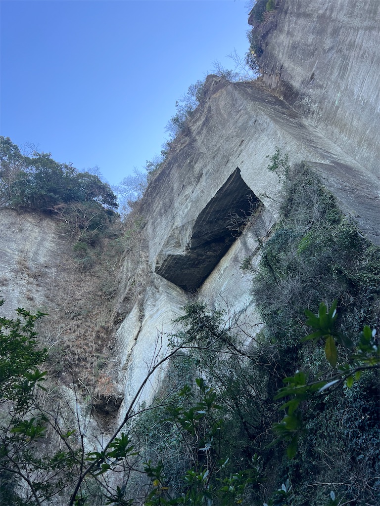 f:id:road_mushi:20250130124837j:image