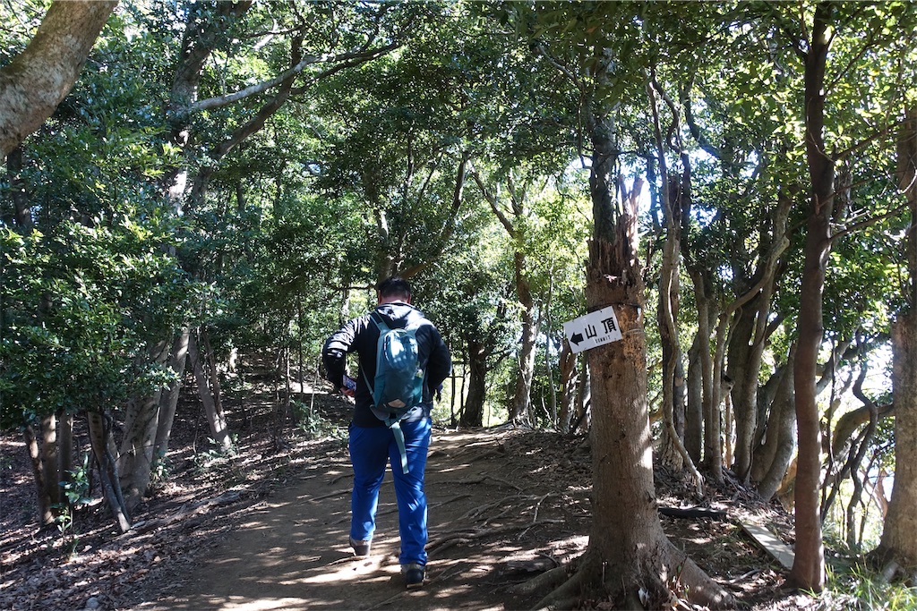 f:id:road_mushi:20250130124847j:image