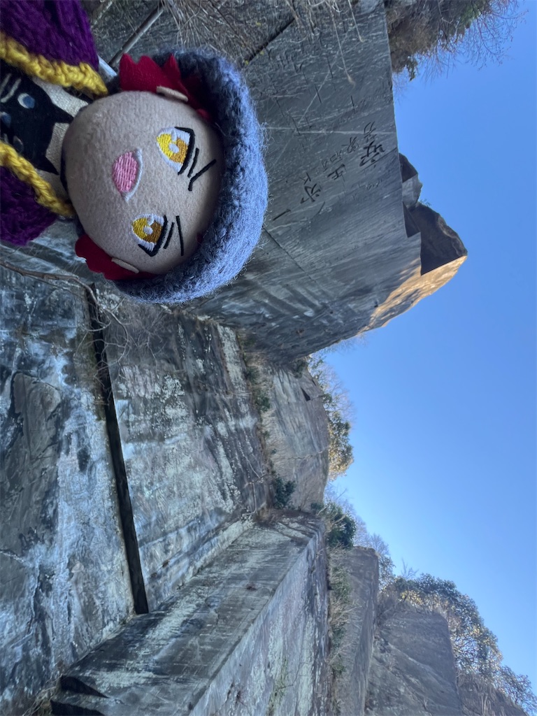 f:id:road_mushi:20250130124857j:image