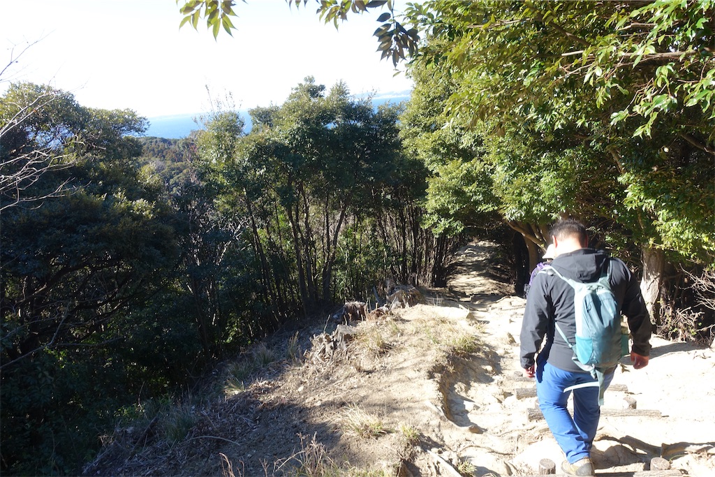 f:id:road_mushi:20250130124904j:image